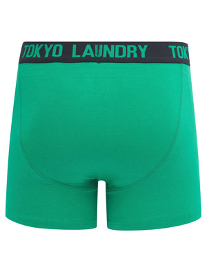 Vesper (2 Pack) Boxer Shorts Set in Sky Captain Navy / Deep Green - Tokyo Laundry