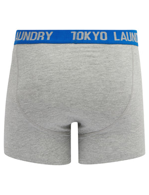 Budworth (2 Pack) Boxer Shorts Set in Light Grey Marl / Jet Blue - Tokyo Laundry