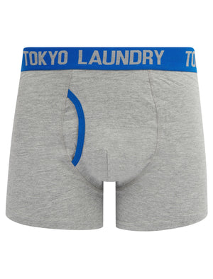 Vesper (2 Pack) Boxer Shorts Set in Light Grey Marl / Jet Blue - Tokyo Laundry