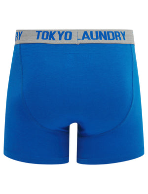 Budworth (2 Pack) Boxer Shorts Set in Light Grey Marl / Jet Blue - Tokyo Laundry