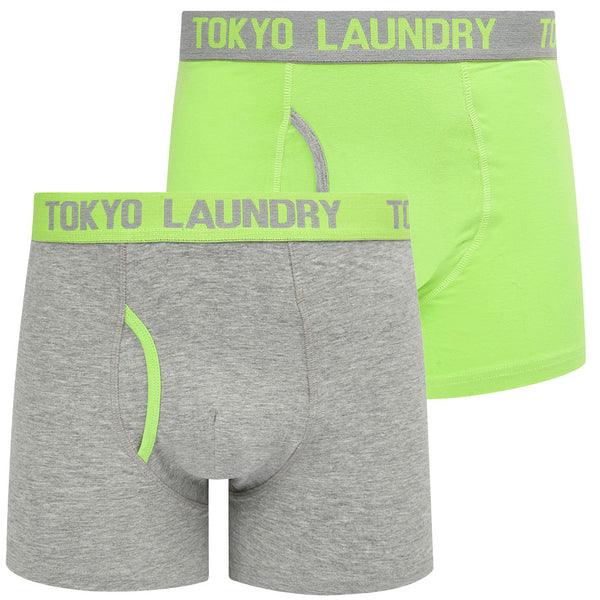 Budworth 2 (2 Pack) Boxer Shorts Set in Light Grey Marl / Opaline Green - Tokyo Laundry