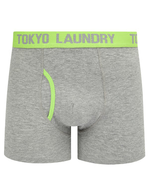 Budworth 2 (2 Pack) Boxer Shorts Set in Light Grey Marl / Opaline Green - Tokyo Laundry
