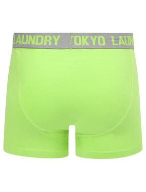 Budworth 2 (2 Pack) Boxer Shorts Set in Light Grey Marl / Opaline Green - Tokyo Laundry