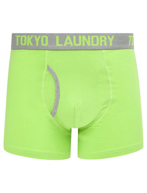 Budworth 2 (2 Pack) Boxer Shorts Set in Light Grey Marl / Opaline Green - Tokyo Laundry