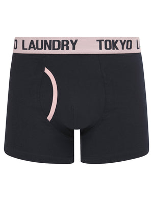 Budworth 2 (2 Pack) Boxer Shorts Set in Sky Captain Navy / Pink Nectar - Tokyo Laundry