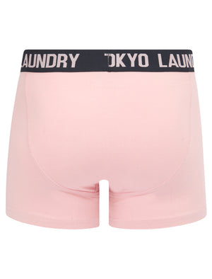 Budworth 2 (2 Pack) Boxer Shorts Set in Sky Captain Navy / Pink Nectar - Tokyo Laundry