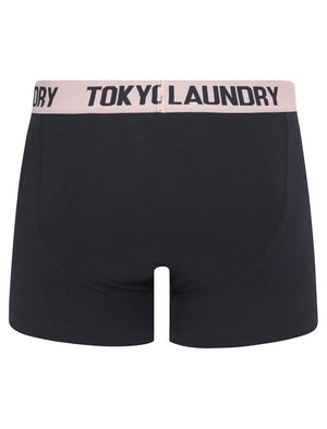 Budworth 2 (2 Pack) Boxer Shorts Set in Sky Captain Navy / Pink Nectar - Tokyo Laundry