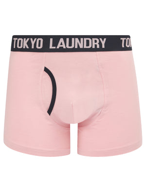 Budworth 2 (2 Pack) Boxer Shorts Set in Sky Captain Navy / Pink Nectar - Tokyo Laundry