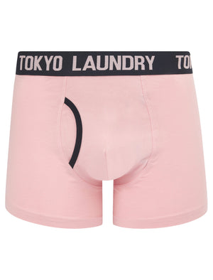 Yaron (2 Pack) Boxer Shorts Set in Sky Captain Navy / Pink Nectar - Tokyo Laundry