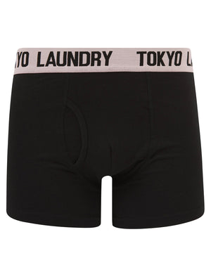 Marthem 2 (2 Pack) Boxer Shorts Set in Pink Nectar / Blissful Blue - Tokyo Laundry