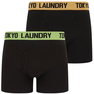 Marthem 2 (2 Pack) Boxer Shorts Set in Mock Orange / Opaline Green - Tokyo Laundry