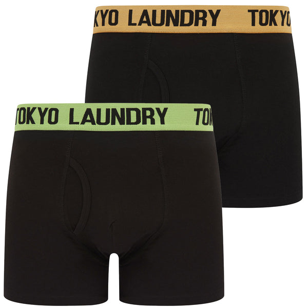 Marthem 2 (2 Pack) Boxer Shorts Set in Mock Orange / Opaline Green - Tokyo Laundry