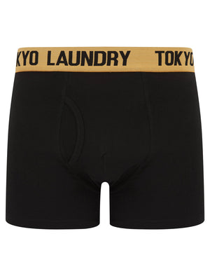 Venti (2 Pack) Boxer Shorts Set in Mock Orange / Opaline Green - Tokyo Laundry