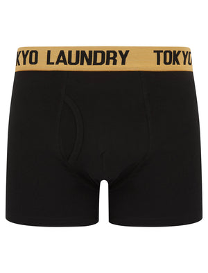 Marthem 2 (2 Pack) Boxer Shorts Set in Mock Orange / Opaline Green - Tokyo Laundry