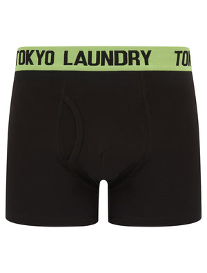 Marthem 2 (2 Pack) Boxer Shorts Set in Mock Orange / Opaline Green - Tokyo Laundry