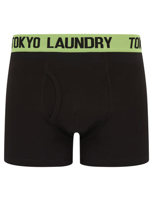 Venti (2 Pack) Boxer Shorts Set in Mock Orange / Opaline Green - Tokyo Laundry