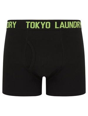 Walkers 2 (2 Pack) Boxer Shorts Set in Opaline Green / Blazing Orange - Tokyo Laundry