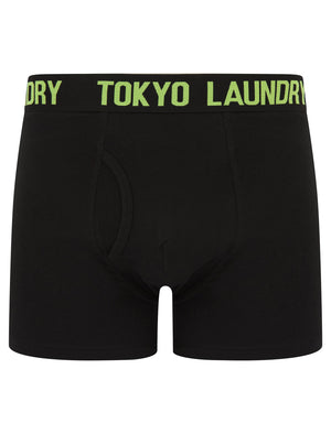 Laken (2 Pack) Boxer Shorts Set in Opaline Green / Blazing Orange - Tokyo Laundry