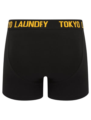 Walkers 2 (2 Pack) Boxer Shorts Set in Opaline Green / Blazing Orange - Tokyo Laundry