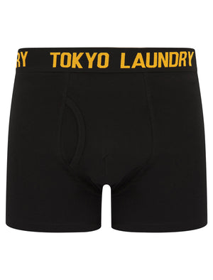 Walkers 2 (2 Pack) Boxer Shorts Set in Opaline Green / Blazing Orange - Tokyo Laundry