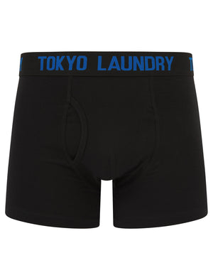 Walkers 2 (2 Pack) Boxer Shorts Set in Princess Blue / Raspberry - Tokyo Laundry