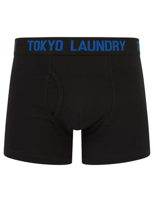 Laken (2 Pack) Boxer Shorts Set in Princess Blue / Raspberry - Tokyo Laundry