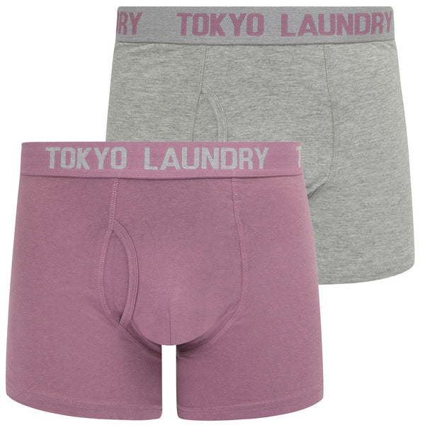 Sanak (2 Pack) Boxer Shorts Set in Light Grey Marl / Grapeade - Tokyo Laundry