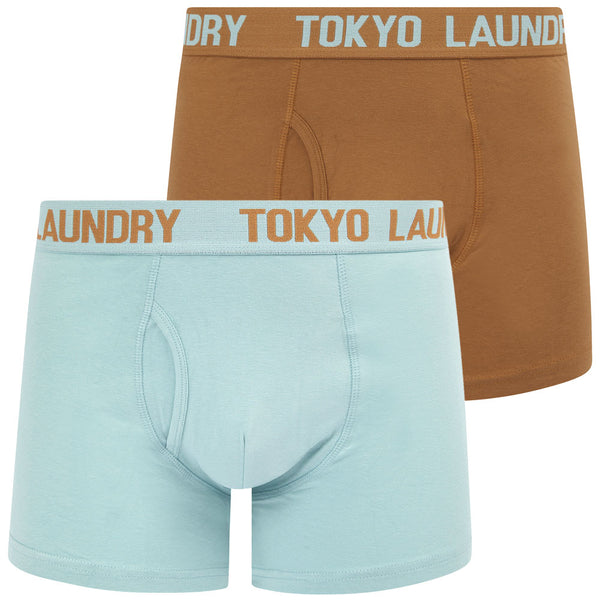 Hillside 2 (2 Pack) Boxer Shorts Set in Thrush Brown / Forget Me Not Blue - Tokyo Laundry