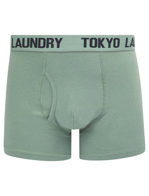 Sanak (2 Pack) Boxer Shorts Set in Chinois Green / Sky Captain Navy - Tokyo Laundry