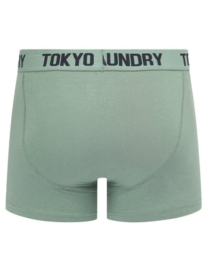 Sanak (2 Pack) Boxer Shorts Set in Chinois Green / Sky Captain Navy - Tokyo Laundry