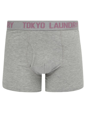 Hillside 2 (2 Pack) Boxer Shorts Set in Light Grey Marl / Grapeade - Tokyo Laundry