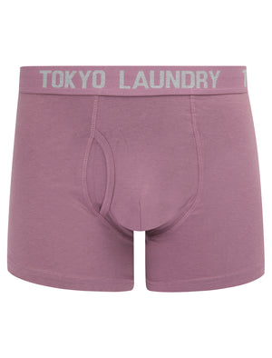 Hillside 2 (2 Pack) Boxer Shorts Set in Light Grey Marl / Grapeade - Tokyo Laundry