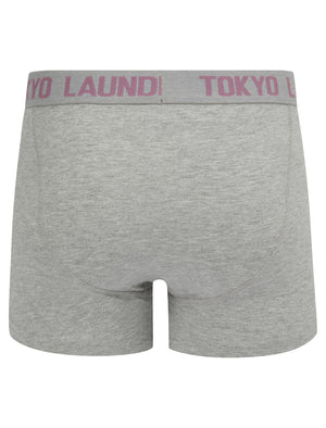 Sanak (2 Pack) Boxer Shorts Set in Light Grey Marl / Grapeade - Tokyo Laundry