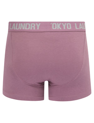 Hillside 2 (2 Pack) Boxer Shorts Set in Light Grey Marl / Grapeade - Tokyo Laundry