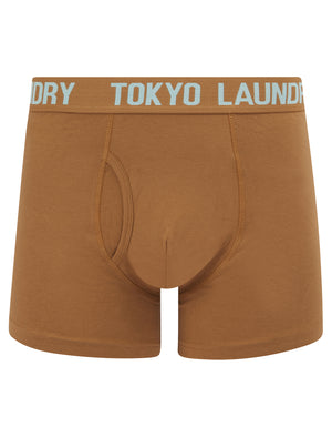 Hillside 2 (2 Pack) Boxer Shorts Set in Thrush Brown / Forget Me Not Blue - Tokyo Laundry