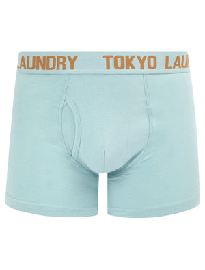 Hillside 2 (2 Pack) Boxer Shorts Set in Thrush Brown / Forget Me Not Blue - Tokyo Laundry