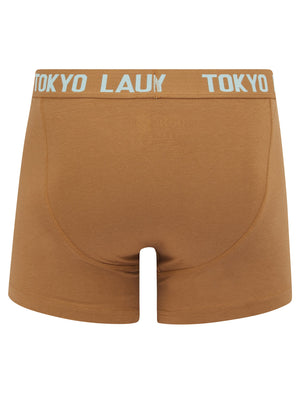 Sanak (2 Pack) Boxer Shorts Set in Thrush Brown / Forget Me Not Blue - Tokyo Laundry
