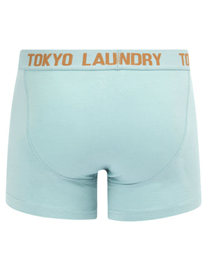 Hillside 2 (2 Pack) Boxer Shorts Set in Thrush Brown / Forget Me Not Blue - Tokyo Laundry