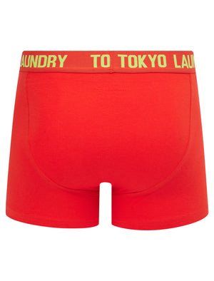 Hillside 2 (2 Pack) Boxer Shorts Set in Opaline Green / Poppy Red - Tokyo Laundry
