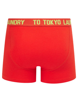 Sanak (2 Pack) Boxer Shorts Set in Opaline Green / Poppy Red - Tokyo Laundry