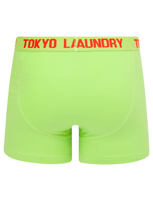 Hillside 2 (2 Pack) Boxer Shorts Set in Opaline Green / Poppy Red - Tokyo Laundry