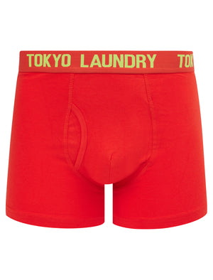 Hillside 2 (2 Pack) Boxer Shorts Set in Opaline Green / Poppy Red - Tokyo Laundry