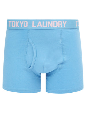 Hillside 2 (2 Pack) Boxer Shorts Set in Blissful Blue / Pink Nectar - Tokyo Laundry