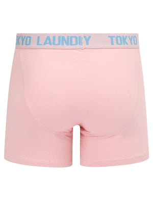 Hillside 2 (2 Pack) Boxer Shorts Set in Blissful Blue / Pink Nectar - Tokyo Laundry