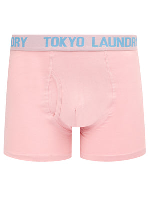 Hillside 2 (2 Pack) Boxer Shorts Set in Blissful Blue / Pink Nectar - Tokyo Laundry