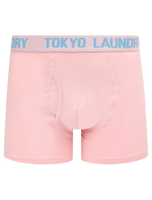 Sanak (2 Pack) Boxer Shorts Set in Blissful Blue / Pink Nectar - Tokyo Laundry