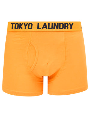 Hillside 2 (2 Pack) Boxer Shorts Set in Mock Orange / Sky Captain Navy - Tokyo Laundry
