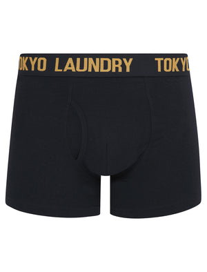 Hillside 2 (2 Pack) Boxer Shorts Set in Mock Orange / Sky Captain Navy - Tokyo Laundry