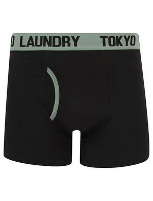 Abbots 2 (2 Pack) Boxer Shorts Set in Chinois Green / Grapeade - Tokyo Laundry