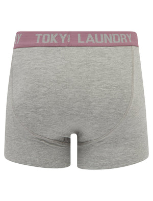 Rosman (2 Pack) Boxer Shorts Set in Chinois Green / Grapeade - Tokyo Laundry